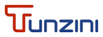 Tunzini